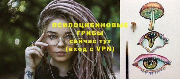ALPHA PVP Краснослободск
