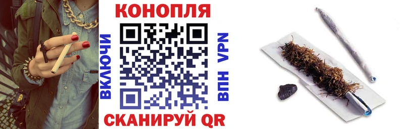 Купить закладки Богородицк Конопля VHQ